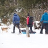 image:imagePelican  Trek Utility Sled